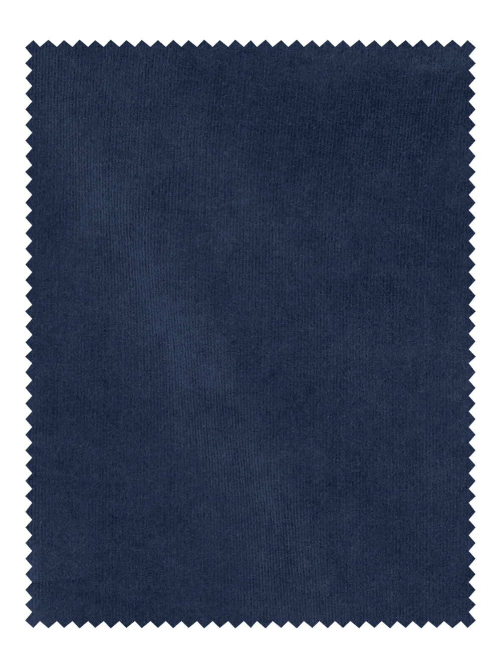 Cotton Stretch Corduroy Pants - Blue - Image 6