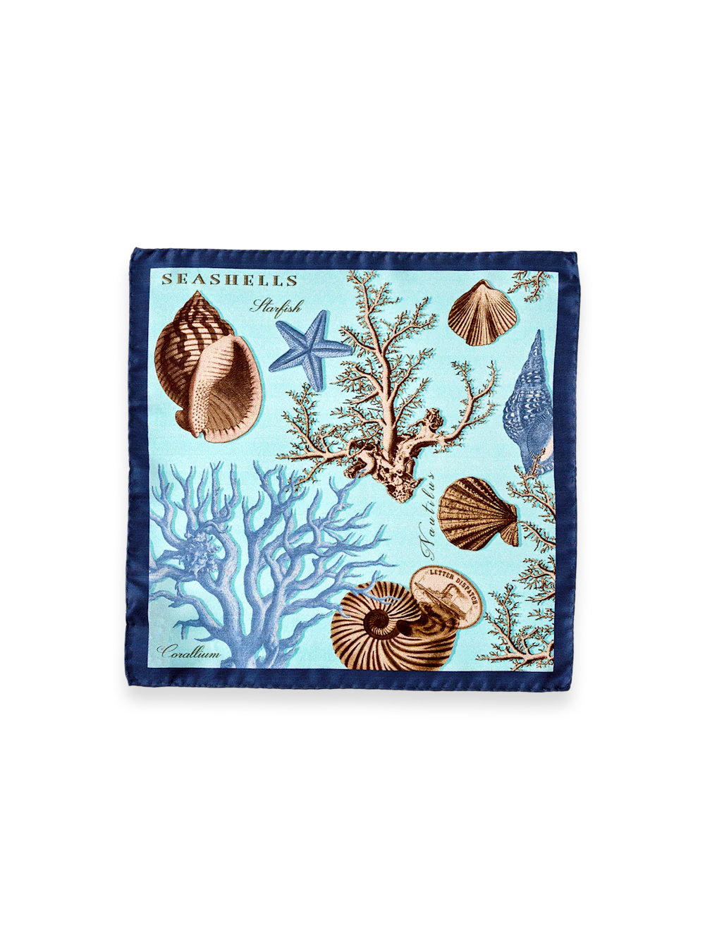 Seashells Silk Pocket Square - Blue Multi - Image 2